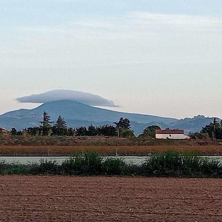 Chambre D'Hotes Les Garrigues Piolenc Exterior photo